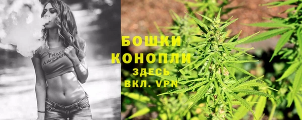 дурь Арсеньев
