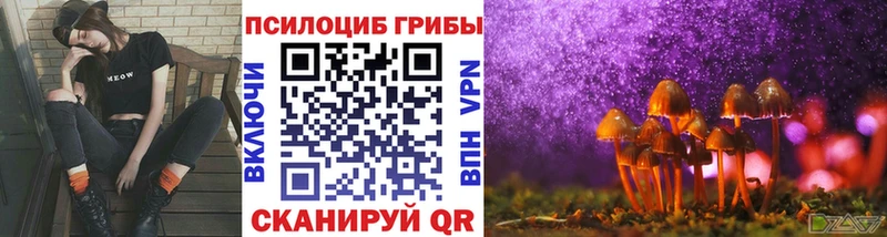 где купить наркоту  Спас-Деменск  даркнет Telegram  Галлюциногенные грибы Psilocybe 